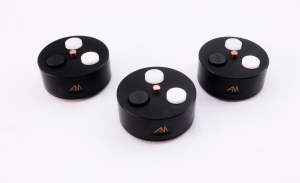Audiomass E-Spikes Plus